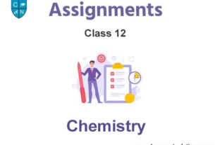 Class 12 Chemistry Assignments