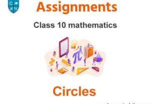 Class 10 Mathematics Circles Assignments