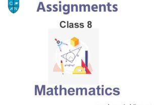 Class 8 Mathematics Assignments