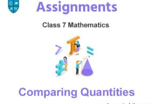 Class 7 Mathematics Comparing Quantities Assignments