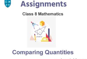 Class 8 Mathematics Comparing Quantities Assignments