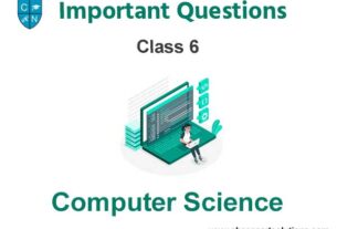 Important Questions For Class 6 Computer Science With Answers