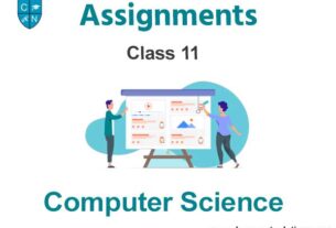 Class 11 Computer Science Assignments