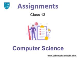 computer assignment class 12