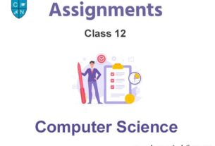 Class 12 Computer Science Assignments