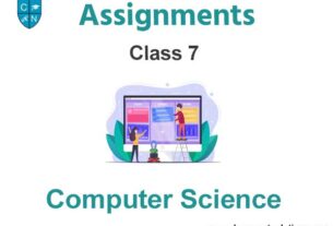 Class 7 Computer Science Assignments