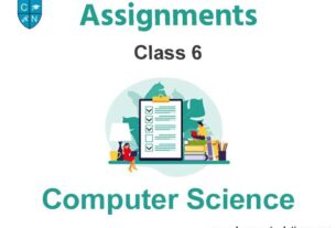 Class 6 Computer Science Assignments