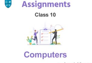 Class 10 Computers Assignments