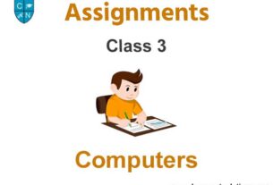 Class 3 Computers Assignments