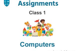 Class 1 Computers Assignments