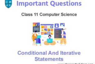 Conditional And Iterative Statements Class 11 Computer Science Important Questions