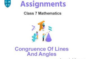 Class 7 Mathematics Congruence Of Lines And Angles Assignments