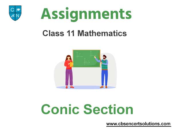 Class 11 Mathematics Conic Section Assignments