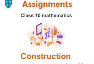 Class 10 Mathematics Construction Assignments