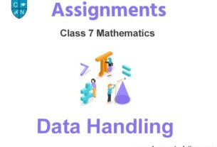 Class 7 Mathematics Data Handling Assignments