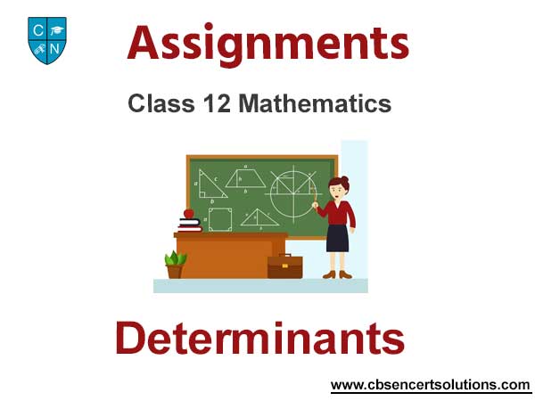 Class 12 Mathematics Determinants Assignments