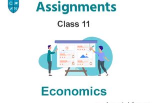 Class 11 Economics Assignments
