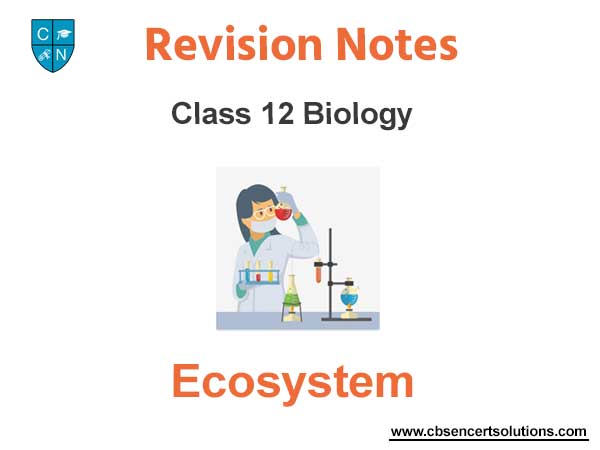 Ecosystem Class 12 Biology