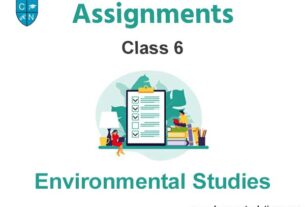 Class 6 Environmental Studies Assignments