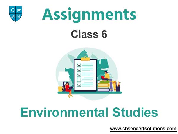 Class 6 Environmental Studies Assignments