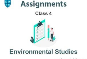 Class 4 Environmental Studies Assignments