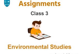Class 3 Environmental Studies Assignments