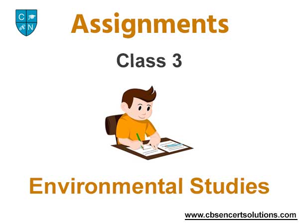 Class 3 Environmental Studies Assignments