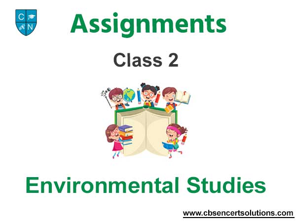 Class 2 Environmental Studies Assignments