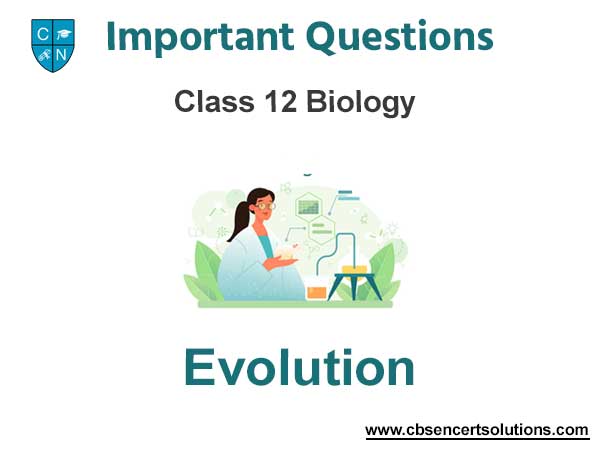 Evolution Class 12 Biology Important Questions