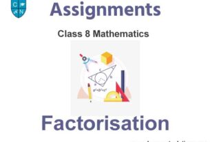 Class 8 Mathematics Factorisation Assignments