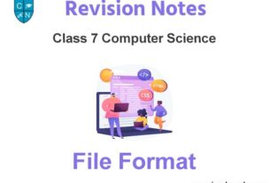 File Format Class 7 Computer Science