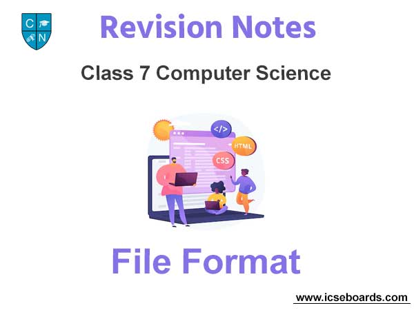 File Format Class 7 Computer Science