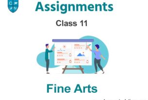Class 11 Fine Arts Assignments