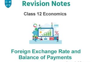 Foreign Exchange Rate and Balance of Payments Class 12 Economics