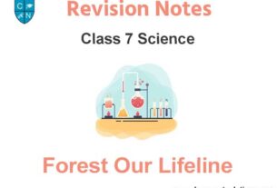 Forest Our Lifeline Class 7 Science