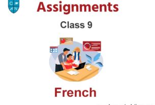Class 9 French Assignments