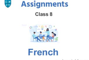 Class 8 French Assignments