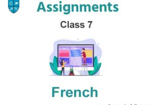 Class 7 French Assignments
