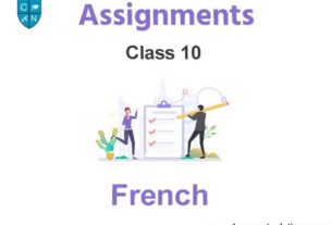 Class 10 French Assignments