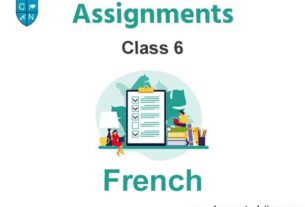 Class 6 French Assignments