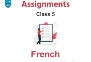 Class 5 French Assignments