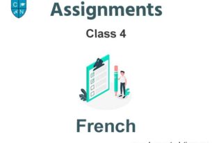 Class 4 French Assignments