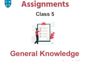 Class 5 General Knowledge Assignments