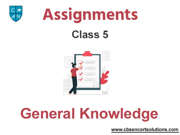 Class 5 General Knowledge Assignments