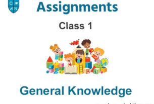 Class 1 General Knowledge Assignments
