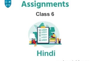 Class 6 Hindi Assignments