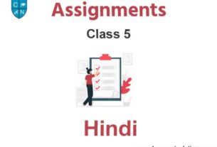 Class 5 Hindi Assignments
