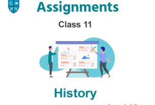 Class 11 History Assignments