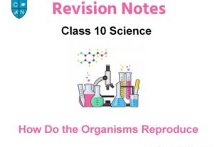How Do the Organisms Reproduce Class 10 Science
