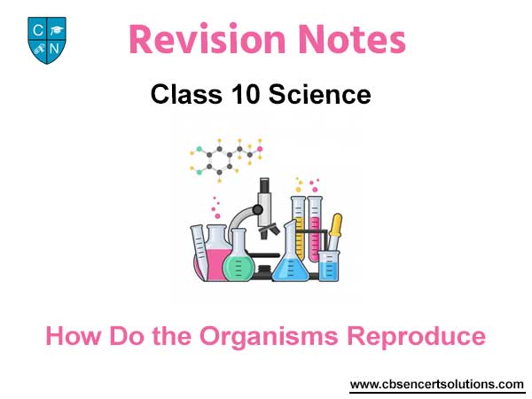 How Do the Organisms Reproduce Class 10 Science